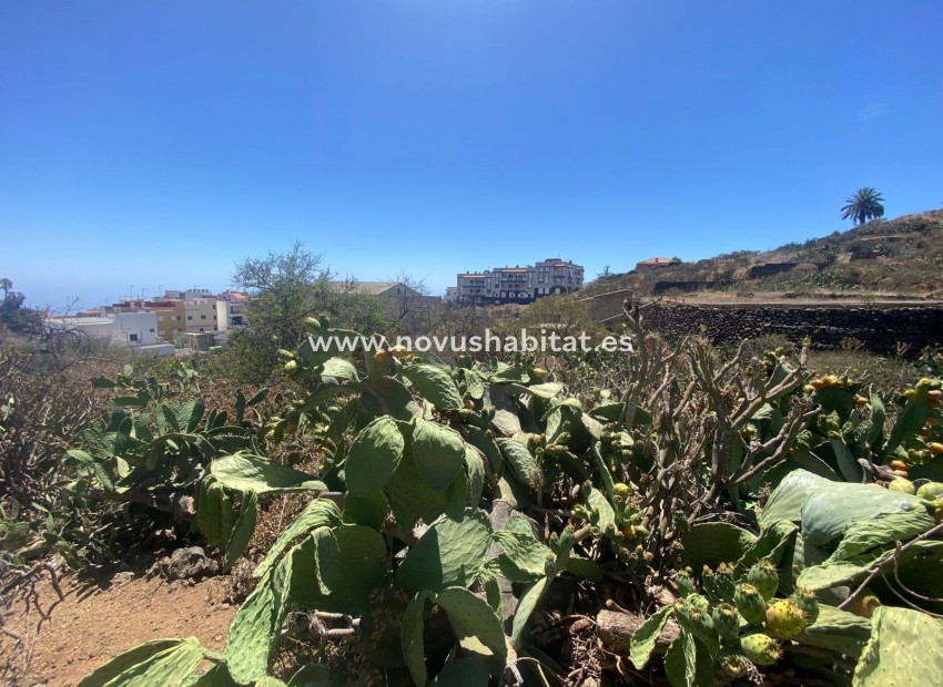Resale -  - Granadilla de Abona - Santa Cruz Tenerife